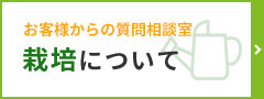 栽培について