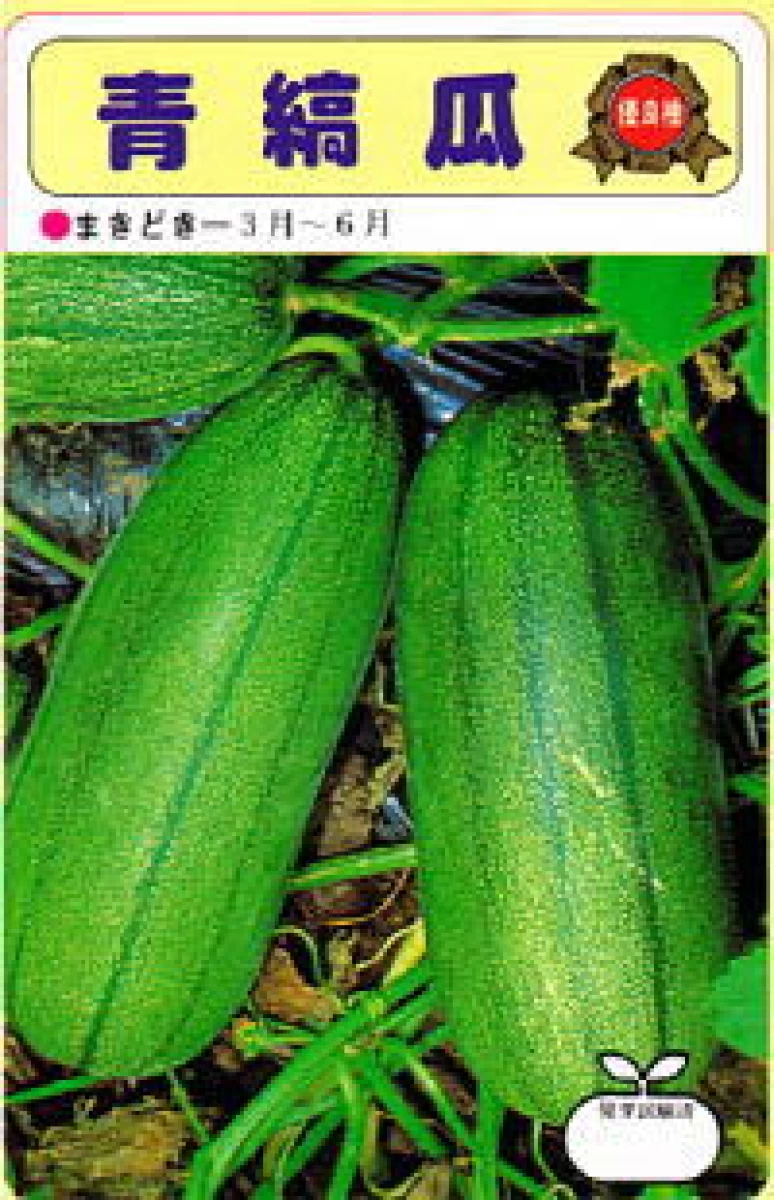 青大縞瓜(アオオオシマウリ)