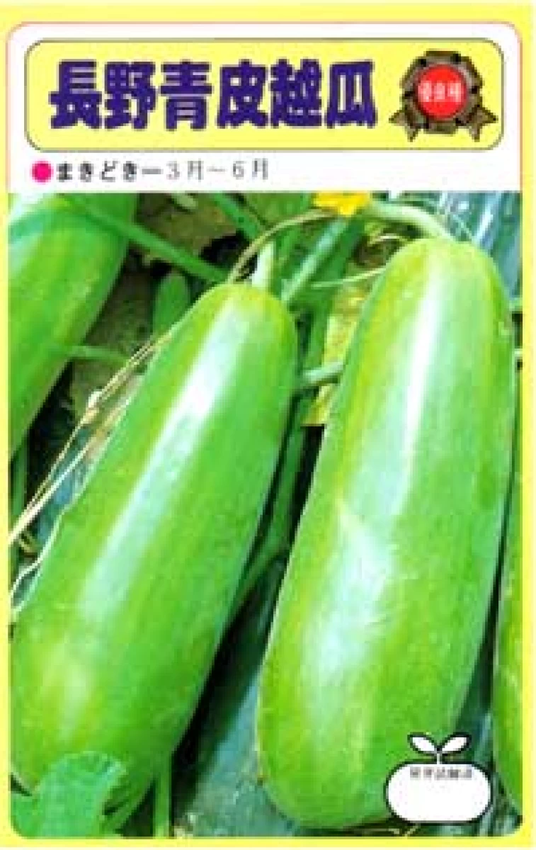 長野青皮越瓜(ナガノアオカワコシウリ)