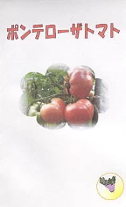 ポンテローザ　トマト