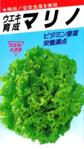 リーフレタス　マリノ