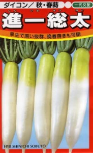 F1総太大根 進一