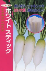 ホワイトスティック　甘大根