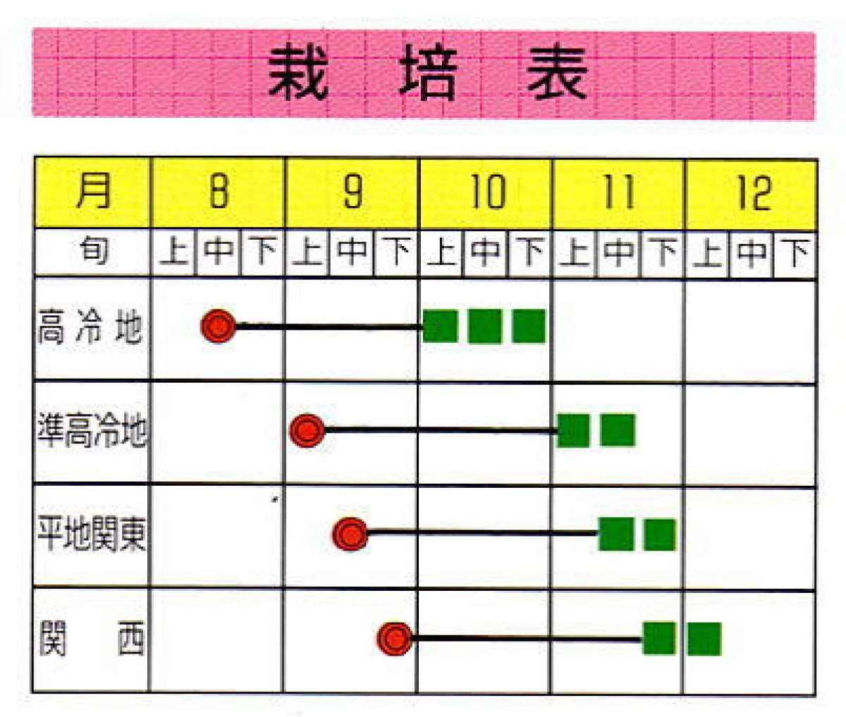 いいずな青ダイコン
