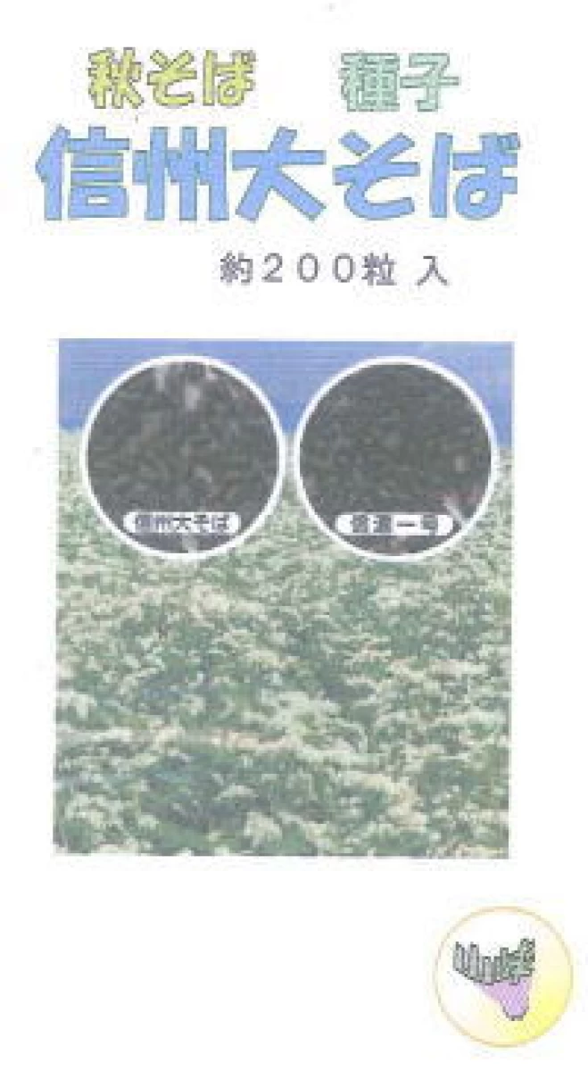 信州大そば