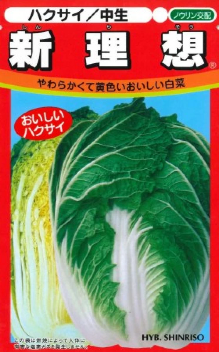 白菜 新理想(ハクサイ シンリソウ)