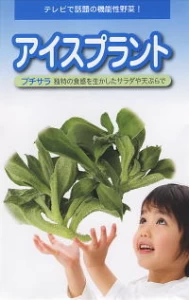アイスプラント　プチサラ
