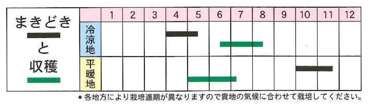 グリーンピース(実とりえんどう) 青軸ピース