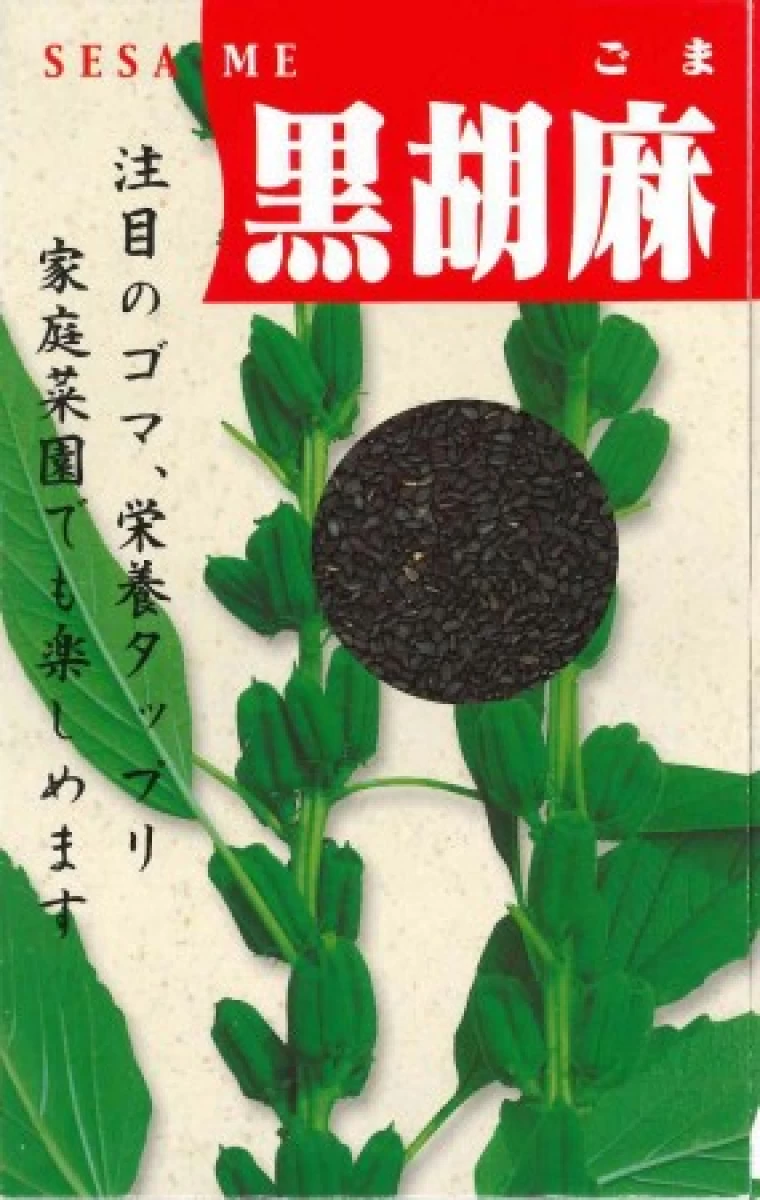 黒胡麻(くろごま)