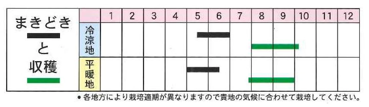黒胡麻(くろごま)
