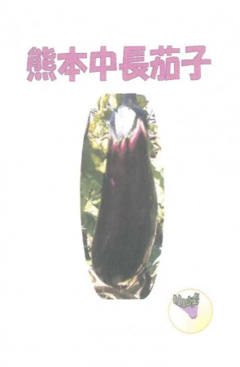 熊本中長茄子(クマモトチュウナガナス)