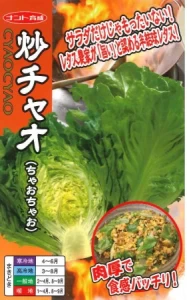 炒チャオレタス(ちゃおちゃお れたす)
