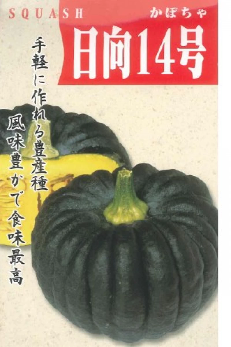日向14号南瓜(ひゅうが14ごうかぼちゃ)