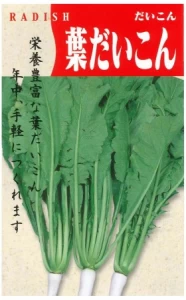 葉だいこん 栄葉(ハダイコン エイヨウ)