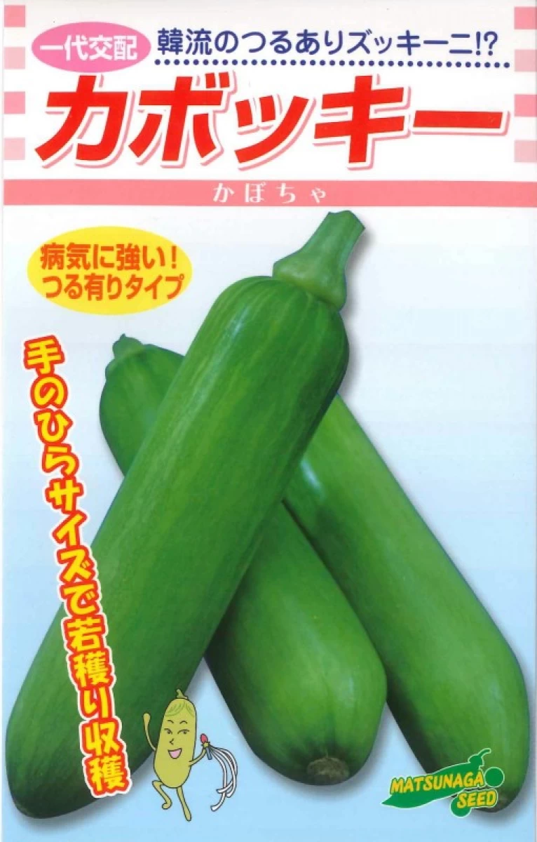 カボッキー(つるありズッキーニ)