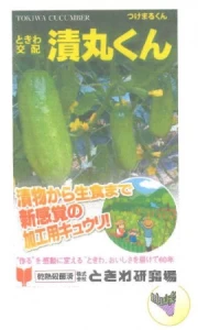 漬丸くん(つけまる君　キュウリ)