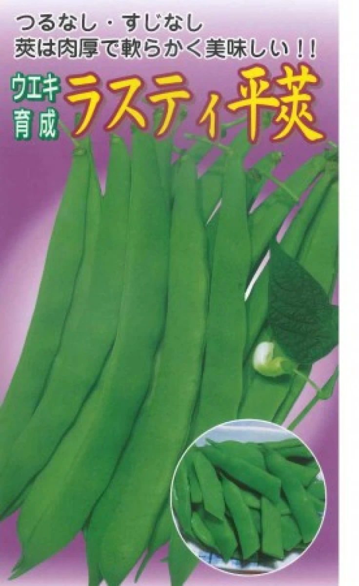 ラスティ平莢蔓無インゲン(ひらさやつるなしいんげん)
