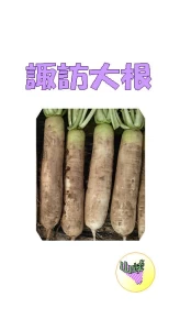 諏訪大根(すわだいこん)