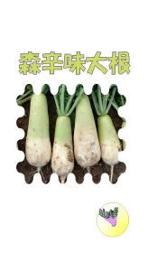 森辛味大根(もりからみだいこん　上平大根)