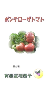 有機栽培種子 ポンテローサトマト