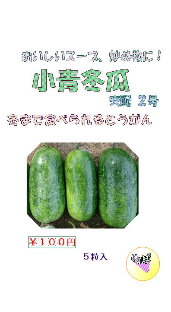 小青とうがん 青枕(しょうあお冬瓜 あおまくら トウガン)