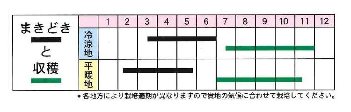 長崎長茄子(ながさきナガナス)